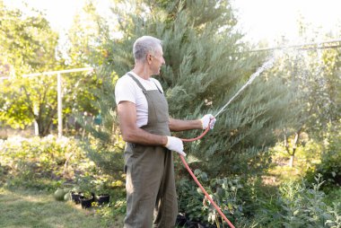 Tanınmayan erkek bahçıvan bahçedeki bitkileri plastik hortumla suluyor, bitkilerle, çalılarla, bahçedeki ağaçlarla, boş alanla ilgileniyor.