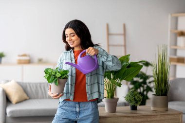 Hoş genç bir Arap kadın parlak bir oturma odasında çiçeklerini suluyor. Konforlu ev atmosferi yeşillik ve ışıkla gelişir. Evinde bahçeyle uğraşmaktan hoşlanıyor..