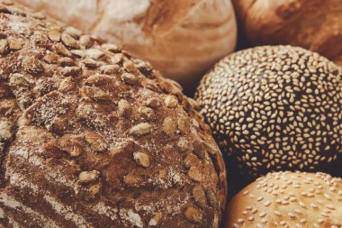 Dokular ve tohumlarla birlikte çeşitli taze pişmiş ekmekler düzenlenir. Sıcak aydınlatma, kabuklu yüzeyleri ve davetkar renkleri vurguluyor, sanatsal ekmek sergiliyor..