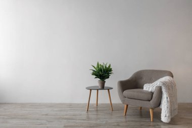 Yumuşak ekoseli retroskopi koltuğu, ofiste ya da oturma odasında gri duvarda saksıda bitki bulunan masa. Dairenin gerçek minimalist iç tasarımı, modern tasarım, kopyalama alanı