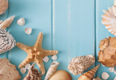Deniz tatil arka plan kopya alanı, mavi ahşap üzerine kabukları ile