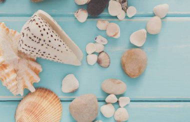 Deniz kabuklarını, mavi ahşap, deniz tatil arka plan üzerinde mercan ahşap plakalar üzerinde kopya alanı ile