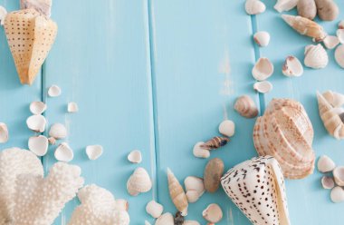 Mavi ahşap, deniz tatil arka plan üzerinde kabukları ahşap plakalar üzerinde kopya alanı ile