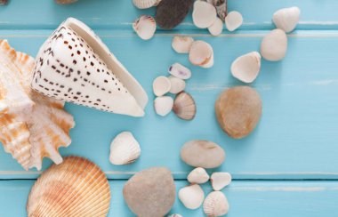 Mavi ahşap, deniz tatil arka plan üzerinde kabukları ahşap plakalar, üstten görünüm üzerinde kopya alanı ile