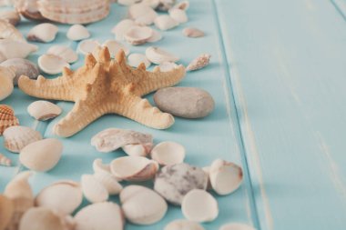 Mavi ahşap, deniz tatil arka plan üzerinde deniz kabuklarını ve denizyıldızı closeup ahşap plakalar üzerinde kopya alanı ile