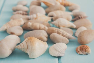 Mavi ahşap, deniz tatil koleksiyonu arka plan üzerinde ahşap plakalar, seçici odak kabukları ve çakıl desen