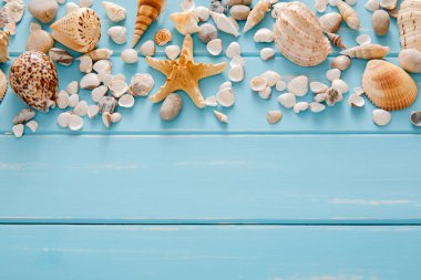 Mavi ahşap, deniz tatil arka plan üzerinde kabukları ahşap plakalar, üstten görünüm üzerinde kopya alanı ile