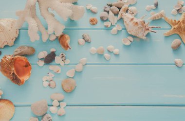 Mavi ahşap, deniz tatil arka plan üzerinde kabukları ahşap plakalar, üstten görünüm üzerinde kopya alanı ile