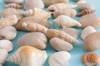 Mavi ahşap, deniz tatil koleksiyonu arka plan üzerinde ahşap plakalar, seçici odak kabukları ve çakıl desen