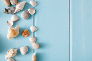 Mavi ahşap, deniz tatil arka plan üzerinde kabukları ahşap plakalar üzerinde kopya alanı ile