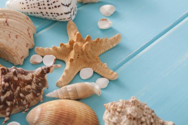 Deniz tatil. Mavi ahşap zemin üzerine deniz kabuklarını çerçeveyle kopya alanı üzerinde ahşap plakalar, üstten görünüm