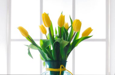 Bir sürü sarı lale cam bir vazoya yerleştirildi. Vazo doğal ışık alan bir pencerenin yakınındaki bir yüzeye yerleştirilir. Çiçekler arasında yeşil yapraklar görünür..
