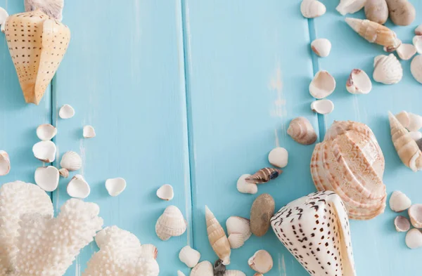 Mavi ahşap, deniz tatil arka plan üzerinde kabukları ahşap plakalar üzerinde kopya alanı ile