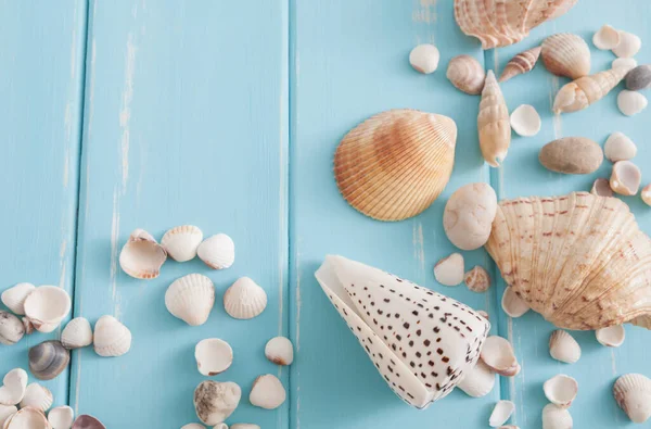 Mavi ahşap, deniz tatil arka plan üzerinde kabukları ahşap plakalar üzerinde kopya alanı ile