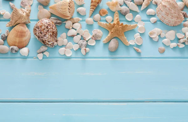 Deniz tatil mavi ahşap arka plan. Ahşap plakalar, üstten görünüm üzerinde kopya alanı ile deniz kabuklarını sınır