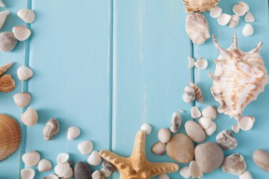 Ahşap plakalar üzerinde kopya alanı ile deniz kabuklarını üstte mavi ahşap, deniz tatil arka plan görüntüleme