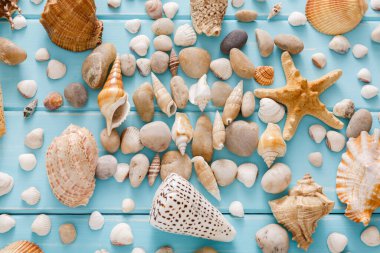 Deniz kabuklarını düz mavi ahşap, deniz tatil koleksiyonu renkli ahşap plakalar üzerinde desen yatıyordu, top görünümü
