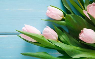 Bir grup pembe lale mavi ahşap bir yüzeyde dinleniyor. Yumuşak yapraklara yeşil yapraklar eşlik eder. Bu düzenleme doğal bir his veriyor. Aydınlık ve davetkar bir ortam..