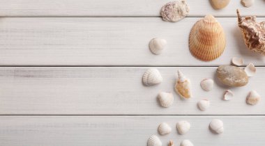 Beyaz ahşap üzerinde deniz kabukları, deniz tatili arka planı, ahşap tahtalarda kopya alanı, üst manzara.