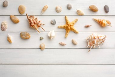 Deniz kabuklarını ahşap plakalar, kopya alanı üzerinde beyaz tahta, deniz tatil arka plan üzerinde yatıyordu, en iyi görünüm düz