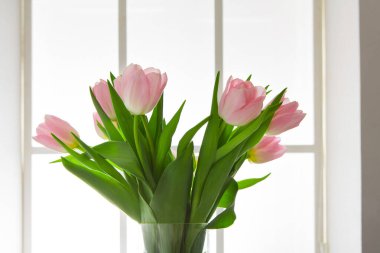 Bir buket pembe lale pencerenin yanındaki açık vazoda duruyor. Işık parıldıyor, çiçekleri aydınlatıyor. Çiçekleri çevreleyen yeşil yapraklar. Ayarlar basit bir iç mekan sahnesi gösteriyor..