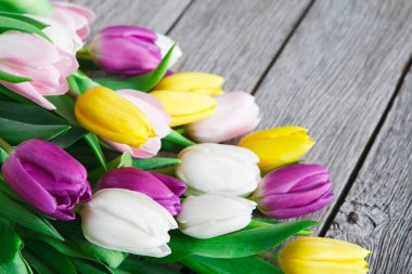 Mor, beyaz, sarı ve pembe renkli bir grup lale ahşap bir masaya dizilmiştir. Çiçeklerin yeşil yaprakları vardır ve gün ışığında çiçeklerini gösterirler..