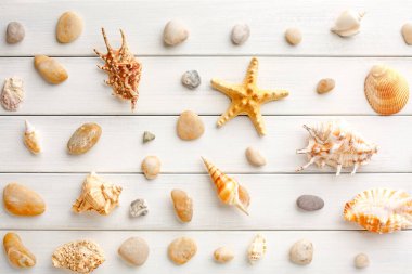Deniz kabuklarını ahşap plakalar, kopya alanı üzerinde beyaz tahta, deniz tatil arka plan üzerinde yatıyordu, en iyi görünüm düz