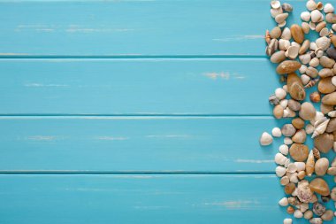 Mavi ahşap, deniz tatil arka plan üzerinde kabukları ahşap plakalar, üstten görünüm üzerinde kopya alanı ile
