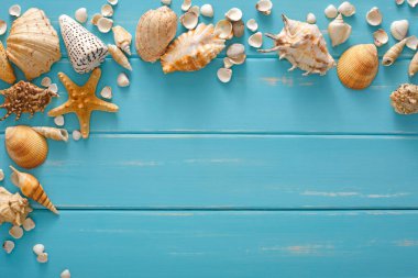 Mavi ahşap üzerinde deniz kabukları çerçevesi, deniz tatili arka planı, tahta tahtalarda kopya alanı, üst manzara.