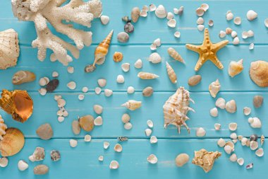 Mavi ahşap üzerinde deniz kabukları, ahşap tahtalarda deniz tatili geçmişi, üst manzara.
