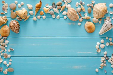 Mavi ahşap üzerinde deniz kabukları çerçevesi, deniz tatili arka planı, tahta tahtalarda kopya alanı, üst manzara.