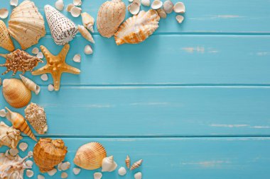 Mavi ahşap üzerinde deniz kabukları çerçevesi, deniz tatili arka planı, tahta tahtalarda kopya alanı, üst manzara.