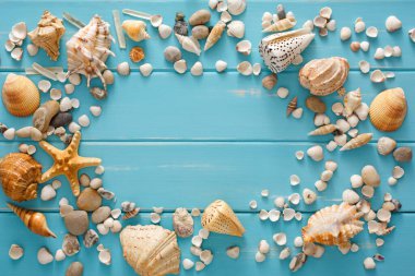 Mavi ahşap üzerinde deniz kabukları çerçevesi, deniz tatili arka planı, tahta tahtalarda kopya alanı, üst manzara.