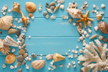 Mavi ahşap üzerinde deniz kabukları çerçevesi, deniz tatili arka planı, tahta tahtalarda kopya alanı, üst manzara.