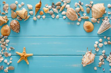 Mavi ahşap üzerinde deniz kabukları çerçevesi, deniz tatili arka planı, tahta tahtalarda kopya alanı, üst manzara.