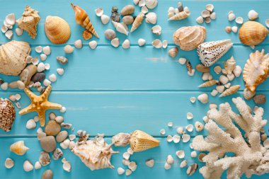 Mavi ahşap üzerinde deniz kabukları çerçevesi, deniz tatili arka planı, tahta tahtalarda kopya alanı, üst manzara.
