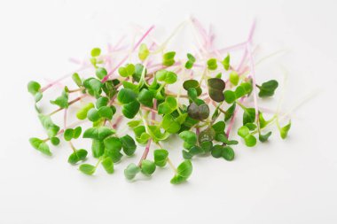 Mikroçimler beyaz bir yüzeye yayılarak bir koleksiyon oluştururlar. Düzenlemede ince saplı yapraklı yeşiller sergileniyor. Bu ekran yeşilliklerin tazeliğini ve çeşitliliğini vurgular.