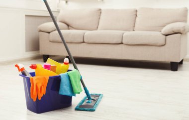 Çeşitli temizlik malzemeleriyle dolu bir kova açık renkli bir kanepenin yanına yerleştirilir. Sahne, ev ortamının toparlandığı anı yakalıyor..