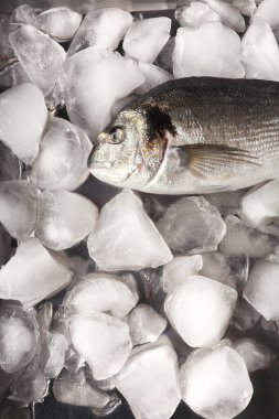 Bir balık, markette satılığa çıkarılmış bir koleksiyondaki buz yatağında dinleniyor. Sahne balık ve buzu açıkça gösteriyor. İnsanlar muhtemelen taze deniz ürünleri almak için alışverişe çıkmışlardır..
