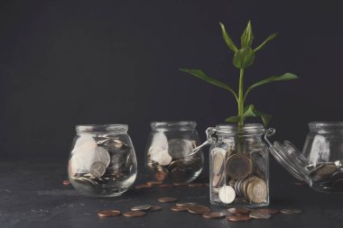 Bozuk para dolu kavanozlar karanlık bir yüzeye yerleştirilir. Bir kavanozun içinden bir bitki çıkıyor. Bu, zaman içinde para biriktirmenin büyüme potansiyelini gösteriyor.