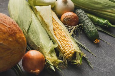 Gri bir yüzeyde taze sebze koleksiyonu düzenlenir. Mısır, salatalık ve soğanın yanı sıra yeşil biber ve mutfaktaki diğer öğeler görülebilir. Sahne her gün düzenleniyor..