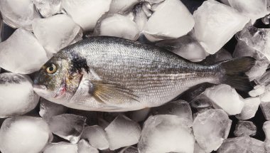 Balıklar pazarda buzdan bir yatak üzerinde düzenlenir. Ekranda buz küplerinin arasında duran gümüş derili büyük bir balık görülüyor. Tedarikçiler balıkları pişirmek için hazırlayabilir..