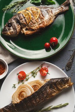 Izgara balık koleksiyonu iki yeşil ve beyaz tabakta sergilenir. Balık soğan, domates ve otlarla süslenir. Bu sahne eğlenmeye hazır bir yemek gösteriyor..