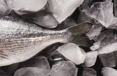 Balık buzdan bir yatağa konur. Buz balığı taze tutar. Bu bir markette ya da mutfakta ortak bir sahne. İnsanlar yakında bu balığı yemek yapmak için kullanabilir..