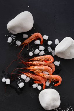 Karides, beyaz taşlarla çevrili bir buz yatağında düzenlenir. Dekorun deniz ürünlerini ön plana çıkaran koyu bir arka planı var. Bu sahne tipik deniz ürünleri veya marketlerde olur..