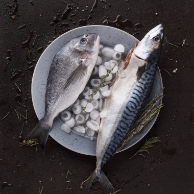 Buzla dolu bir tabakta iki tür balık yatar. Bazı otlar balığın etrafını sarar. Bu ayar bir yemekte deniz ürünleri pişirmek veya servis etmek için hazırlanır. Bu basit ve net bir sunum..