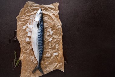 Bütün bir uskumru buruşmuş bir kağıt parçasının üzerinde yatar ve etrafını buz kaplar. Koyu arkaplan balığa zıtlık katıyor. Bu muhtemelen mutfakta yemek pişirmeye hazırlanan bir ortam..