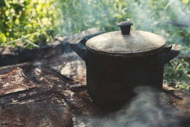 A pot sits on a rustic stove with smoke rising. Surrounding greenery indicates an outdoor cooking scene. This captures the essence of preparing food in nature during daylight hours.