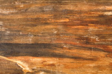 Ahşap bir yüzeye yakından bakmak çeşitli desenleri ve dokuları gösterir. Doğal ışık renk değişimlerini vurgular. Bu sahne doğal tahılın güzelliğini yakalar..