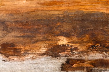 Bir ahşap yüzeye yakından bakmak, kahverengi farklı tonlarda görünür doku ve desenler sunar. Doğal elementler parlak ışık altında ilginç bir renk gösterisi yaratırlar..